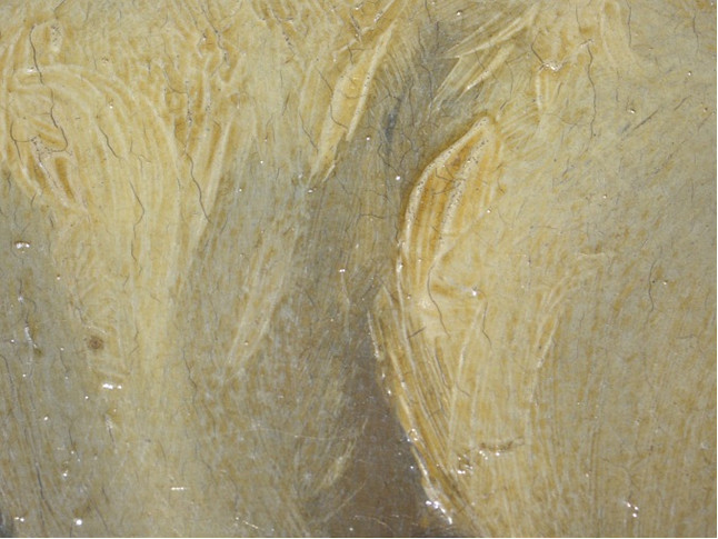 Click the image for a view of: Detail of the discolouration of the varnish