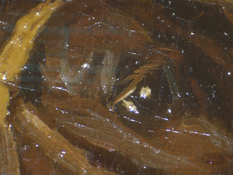 Click the image for a view of: Detail of eye showing wet-into-wet and feathering