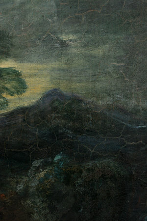Click the image for a view of: Detail of landscape, during cleaning